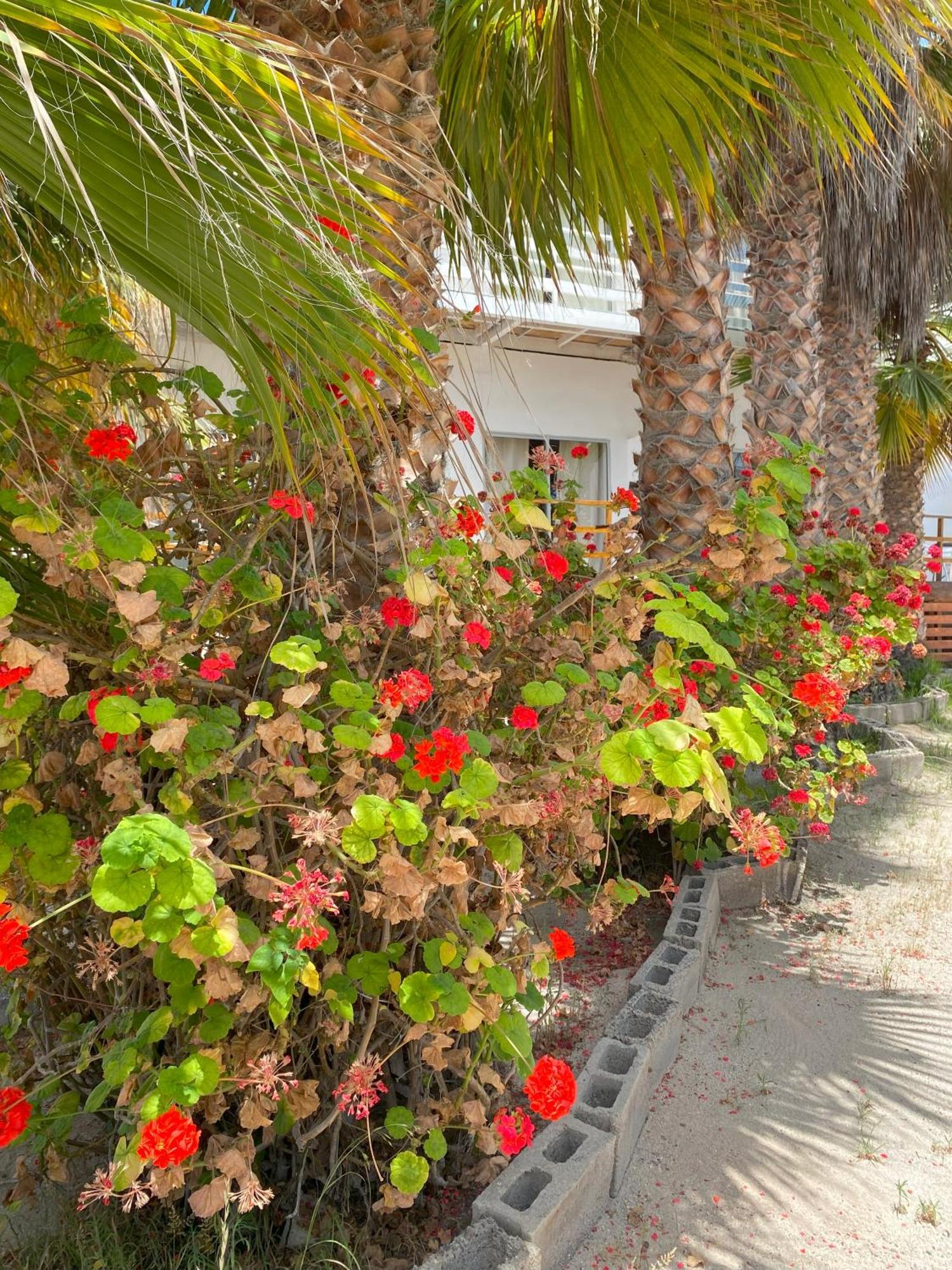Hotel & Cabanas El Mirador Caldera Exterior foto